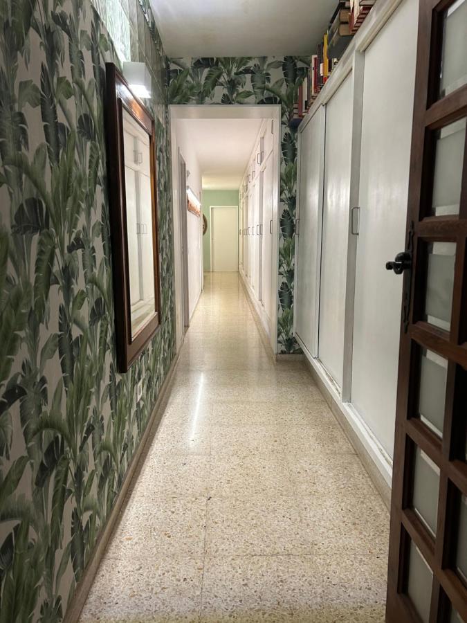 Niko Rooms Санта-Крус-де-Тенеріфе Екстер'єр фото